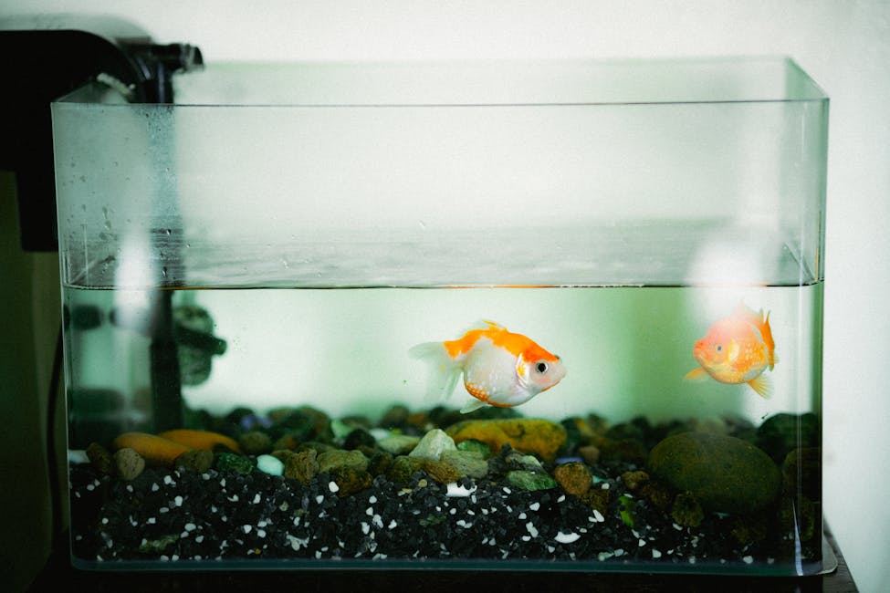 How Often to Change Aquarium Water: Complete Guide
